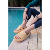 Slides