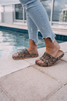 Slides