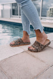 Slides