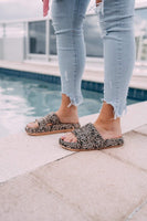 Slides