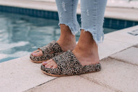 Slides