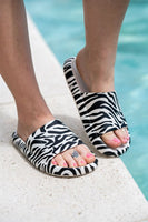 Slides
